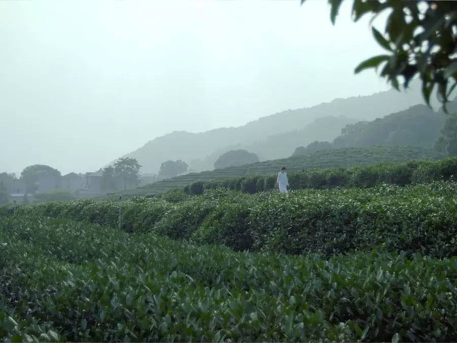 Cặp vợ chồng trẻ tạo không gian nhà vườn xanh mát giữa đồi núi mênh mông-2