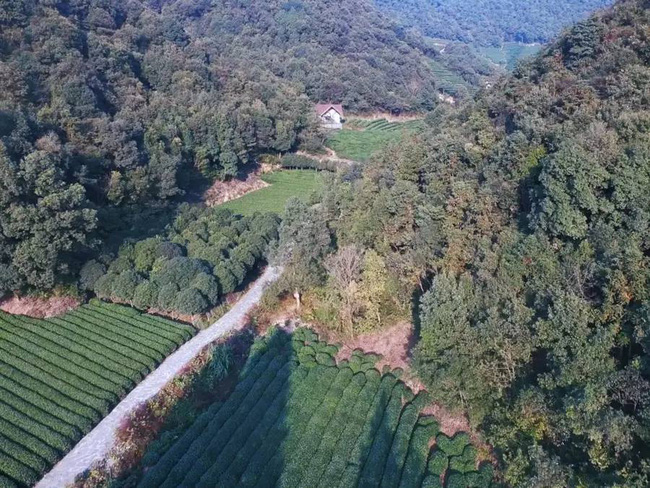 Cặp vợ chồng trẻ tạo không gian nhà vườn xanh mát giữa đồi núi mênh mông-4