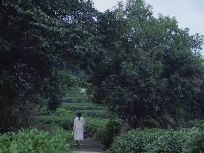 Cặp vợ chồng trẻ tạo không gian nhà vườn xanh mát giữa đồi núi mênh mông-6