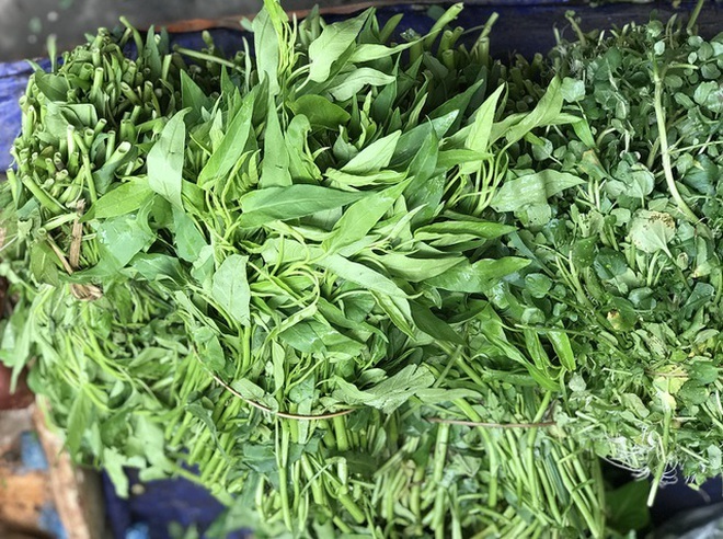 Giá rau xanh tăng mạnh, người mua sững sờ-2