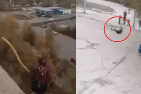 Nhảy Bungee từ độ cao 40 mét bất ngờ đứt dây khiến nhiều người thót tim-1