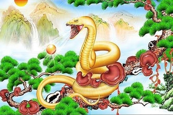 6 con giáp càng có tuổi càng giàu có, cuộc sống sung túc, bình an-6