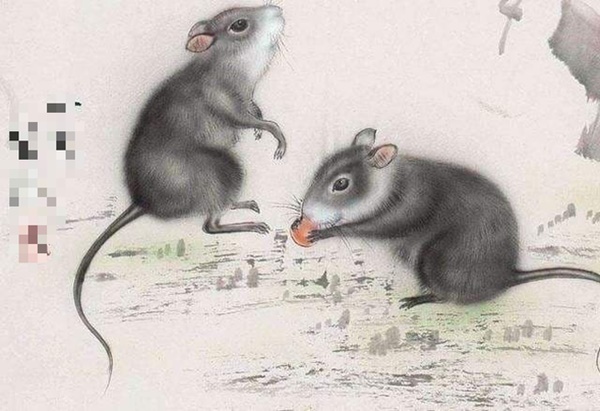 6 con giáp càng có tuổi càng giàu có, cuộc sống sung túc, bình an-4