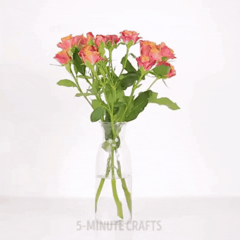 Cắm hoa bằng nước này thì 10 ngày sau hoa vẫn tươi như mới-1