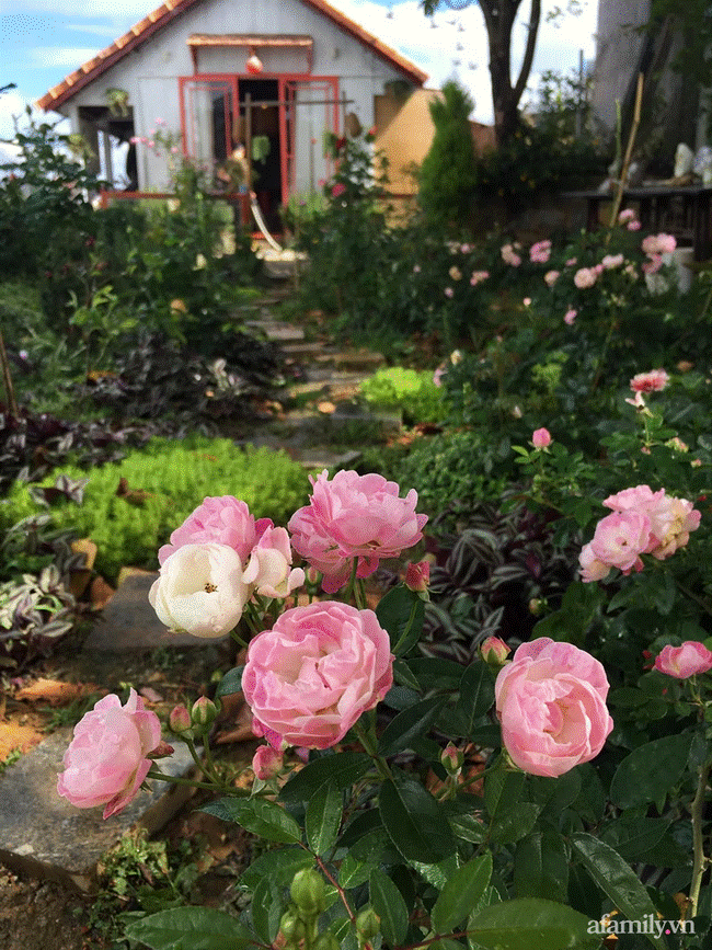 Đôi bạn rời Sài Gòn lên Đà Lạt xây dựng chốn bình yên và làm việc từ xa, cùng lời khuyên tài chính mấu chốt giúp bạn bỏ phố về quê thành công-1