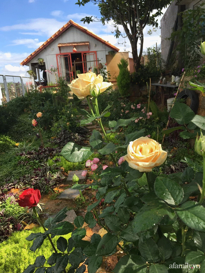 Đôi bạn rời Sài Gòn lên Đà Lạt xây dựng chốn bình yên và làm việc từ xa, cùng lời khuyên tài chính mấu chốt giúp bạn bỏ phố về quê thành công-3