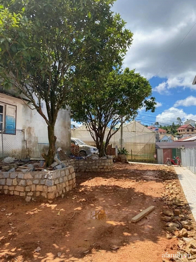 Đôi bạn rời Sài Gòn lên Đà Lạt xây dựng chốn bình yên và làm việc từ xa, cùng lời khuyên tài chính mấu chốt giúp bạn bỏ phố về quê thành công-5