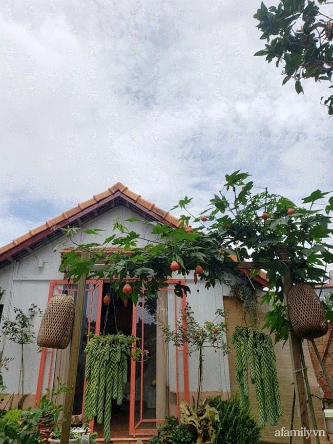 Đôi bạn rời Sài Gòn lên Đà Lạt xây dựng chốn bình yên và làm việc từ xa, cùng lời khuyên tài chính mấu chốt giúp bạn bỏ phố về quê thành công-6