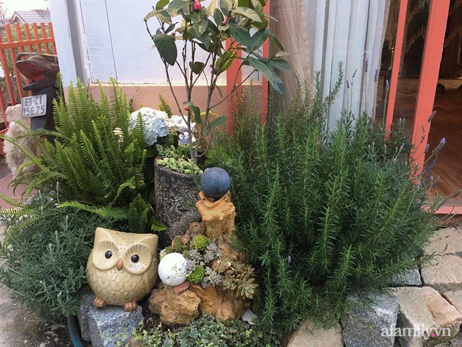 Đôi bạn rời Sài Gòn lên Đà Lạt xây dựng chốn bình yên và làm việc từ xa, cùng lời khuyên tài chính mấu chốt giúp bạn bỏ phố về quê thành công-9