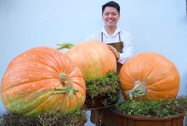 Bí ngô siêu to khổng lồ” có giá vài triệu đồng/quả, cửa hàng lấy không kịp bán-3