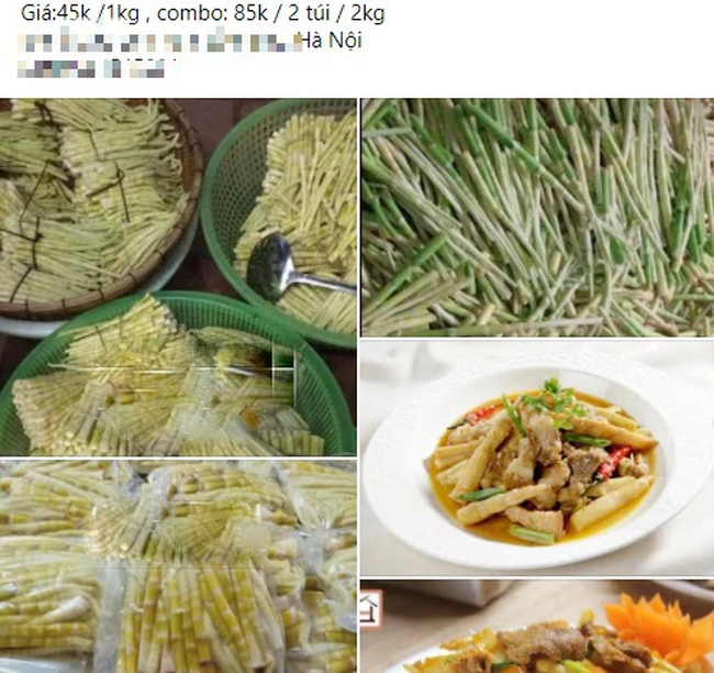 Măng trúc vào mùa 45k/kg, các chị em thi nhau đặt mua về chế biến, tiểu thương chốt đơn mỏi tay-3