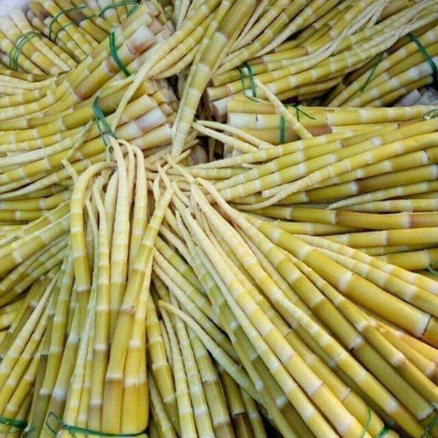 Măng trúc vào mùa 45k/kg, các chị em thi nhau đặt mua về chế biến, tiểu thương chốt đơn mỏi tay-2