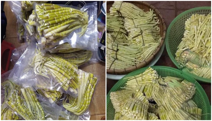 Măng trúc vào mùa 45k/kg, các chị em thi nhau đặt mua về chế biến, tiểu thương chốt đơn mỏi tay-4