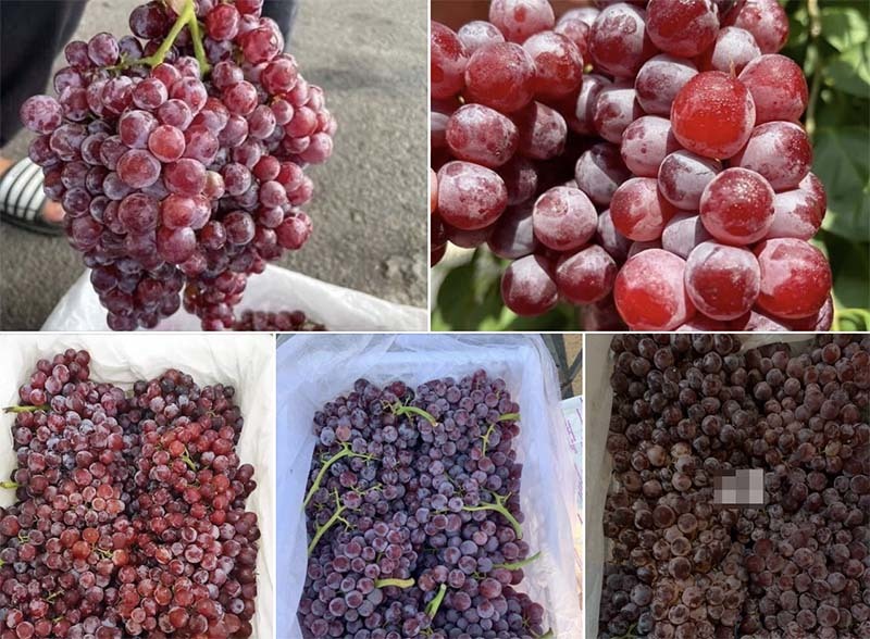 Nho Trung Quốc đổ về chợ Việt, có loại giá rẻ như khoai lang-1
