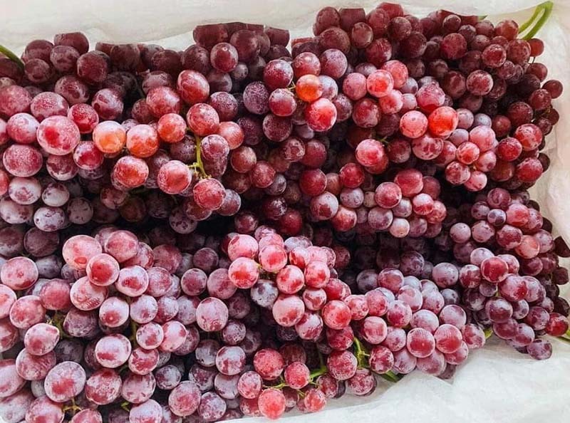 Nho Trung Quốc đổ về chợ Việt, có loại giá rẻ như khoai lang-3