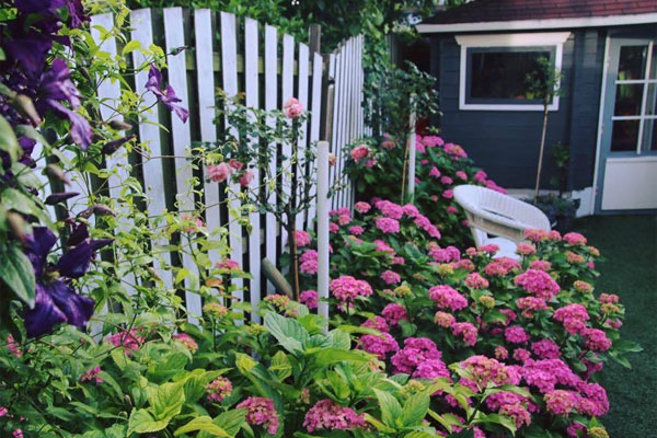 Nhân tình của chồng gửi ảnh nóng thách tôi đến đánh ghen-1