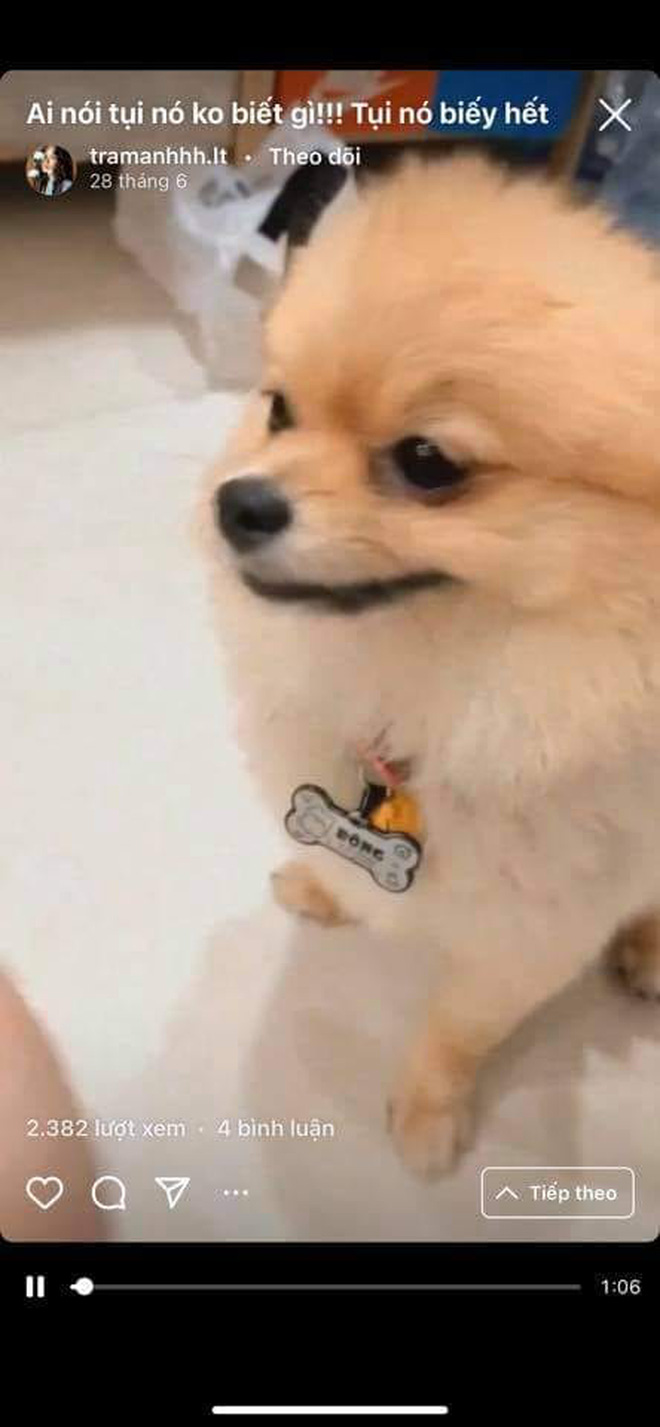 Trương Thế Vinh đang hẹn hò với Trâm Anh - Á quân The Face 2018?-2