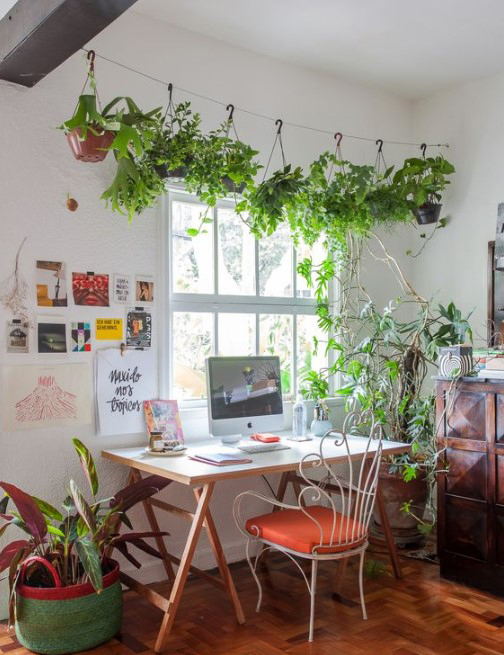 15 ý tưởng trồng cây trong nhà theo phong cách hiện đại, những người yêu cây nhất định đừng bỏ qua-1