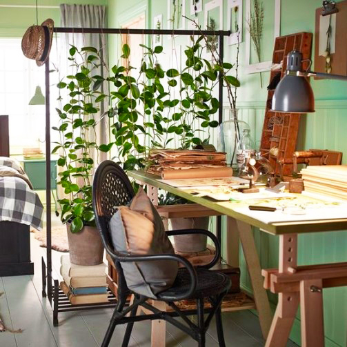 15 ý tưởng trồng cây trong nhà theo phong cách hiện đại, những người yêu cây nhất định đừng bỏ qua-4