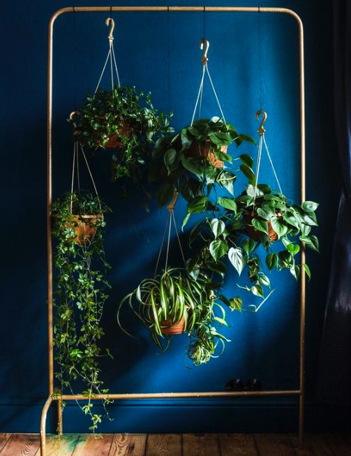 15 ý tưởng trồng cây trong nhà theo phong cách hiện đại, những người yêu cây nhất định đừng bỏ qua-5