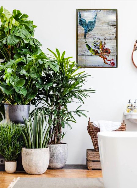 15 ý tưởng trồng cây trong nhà theo phong cách hiện đại, những người yêu cây nhất định đừng bỏ qua-7