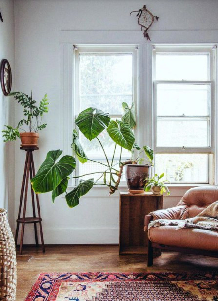 15 ý tưởng trồng cây trong nhà theo phong cách hiện đại, những người yêu cây nhất định đừng bỏ qua-13