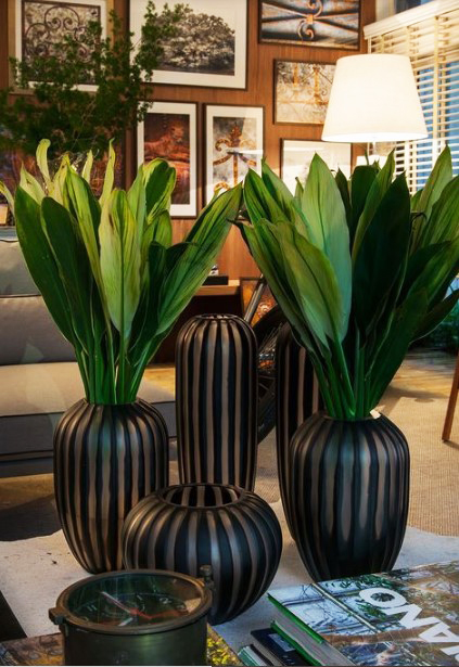 15 ý tưởng trồng cây trong nhà theo phong cách hiện đại, những người yêu cây nhất định đừng bỏ qua-8