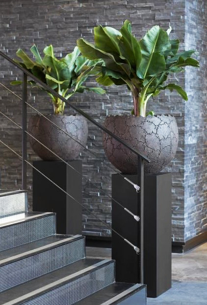 15 ý tưởng trồng cây trong nhà theo phong cách hiện đại, những người yêu cây nhất định đừng bỏ qua-14