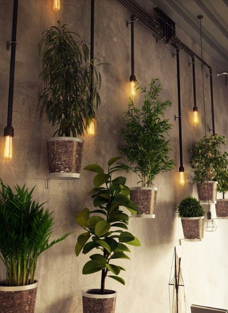 15 ý tưởng trồng cây trong nhà theo phong cách hiện đại, những người yêu cây nhất định đừng bỏ qua-16