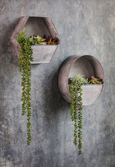 15 ý tưởng trồng cây trong nhà theo phong cách hiện đại, những người yêu cây nhất định đừng bỏ qua-20