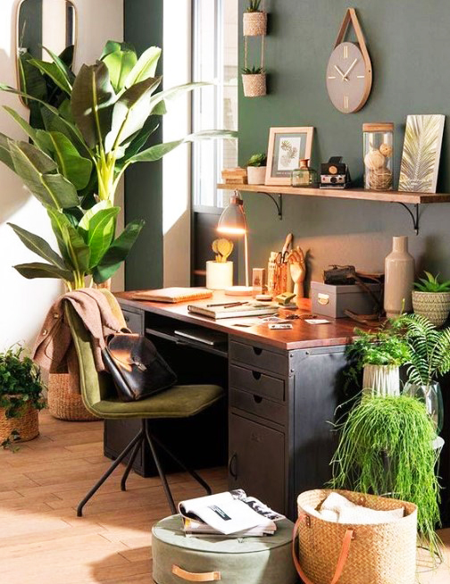 15 ý tưởng trồng cây trong nhà theo phong cách hiện đại, những người yêu cây nhất định đừng bỏ qua-26