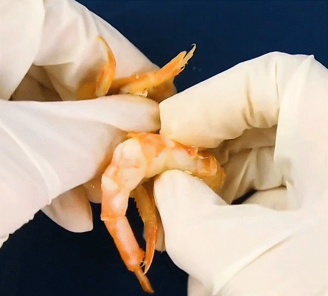 Cách bóc vỏ tôm chín không bị nóng và dây bẩn, còn được khen là khéo léo, duyên dáng khi đi ăn cỗ-7