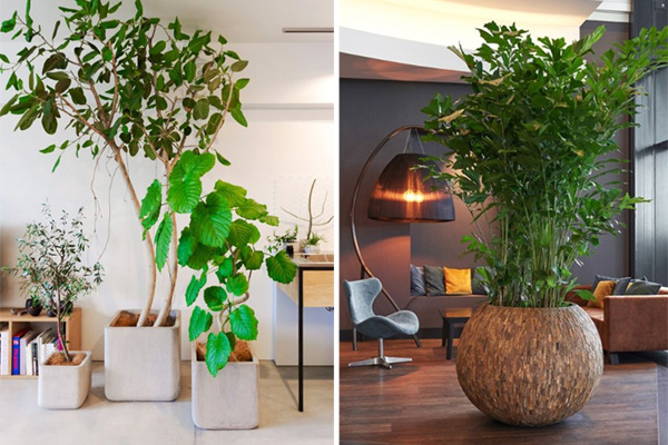 Những cách phối màu thịnh hành nhất và bí quyết sử dụng chúng trong nhà-5