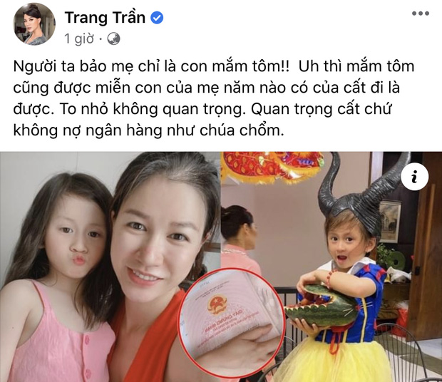 Trang Trần phản ứng thế nào sau khi CEO Đại Nam tuyên bố đâm đơn kiện vì ép cung Hồ Văn Cường?-1