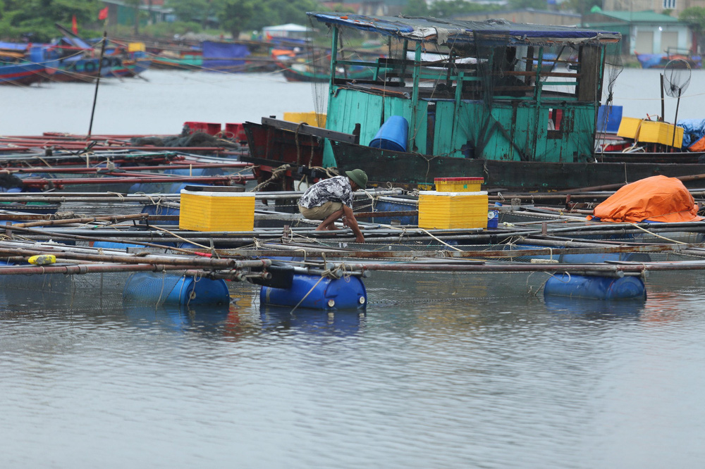 Bão số 8: Sóng cao 5m đang đánh vào bờ biển Nghệ An, hàng trăm khối đất đá sạt lở, đổ xuống quốc lộ-16
