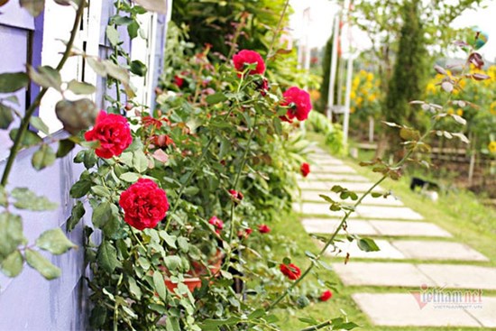 Phát hiện mối tình vụng trộm của vợ nhờ chi tiết nhỏ trên máy tính