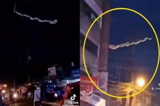 Trăn khủng đu bám trên dây diện khiến người đi đường rùng mình