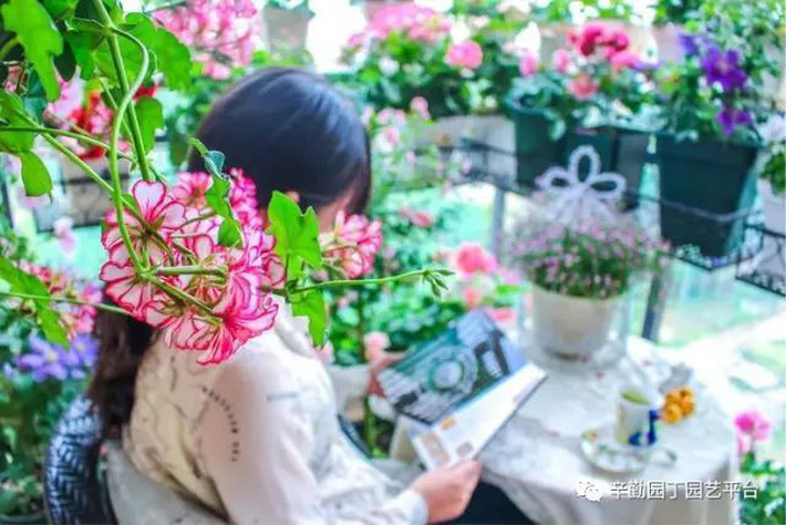 Ban công chỉ rộng vỏn vẹn 7m² nhưng tràn ngập hoa đẹp như cổ tích của bà mẹ 2 con-3