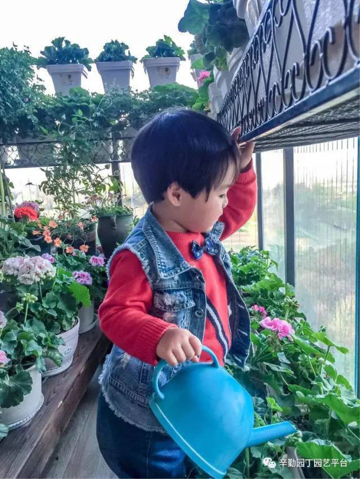 Ban công chỉ rộng vỏn vẹn 7m² nhưng tràn ngập hoa đẹp như cổ tích của bà mẹ 2 con-7