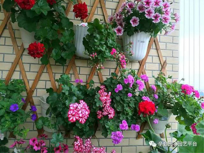 Ban công chỉ rộng vỏn vẹn 7m² nhưng tràn ngập hoa đẹp như cổ tích của bà mẹ 2 con-9