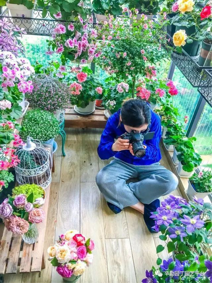 Ban công chỉ rộng vỏn vẹn 7m² nhưng tràn ngập hoa đẹp như cổ tích của bà mẹ 2 con-10