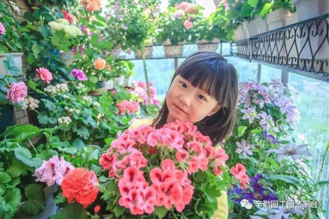 Ban công chỉ rộng vỏn vẹn 7m² nhưng tràn ngập hoa đẹp như cổ tích của bà mẹ 2 con-16