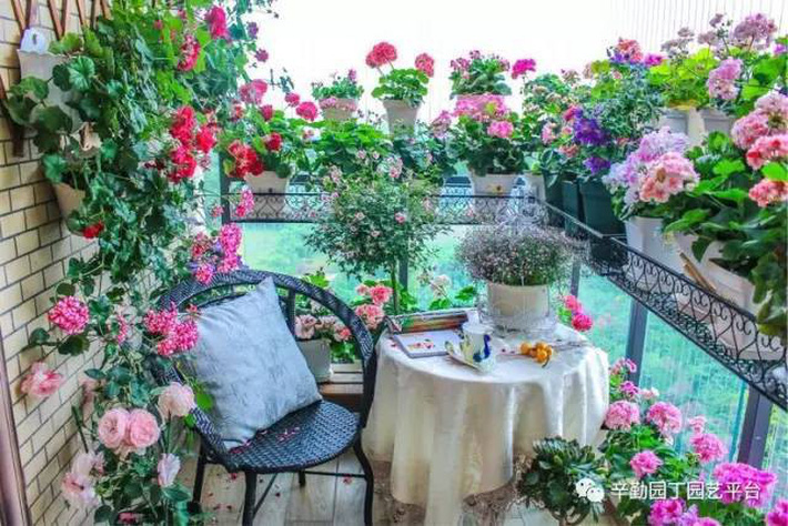 Ban công chỉ rộng vỏn vẹn 7m² nhưng tràn ngập hoa đẹp như cổ tích của bà mẹ 2 con-17