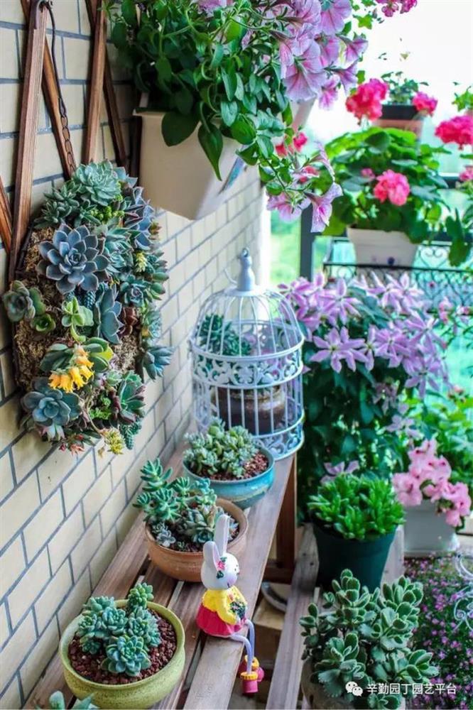 Ban công chỉ rộng vỏn vẹn 7m² nhưng tràn ngập hoa đẹp như cổ tích của bà mẹ 2 con-20