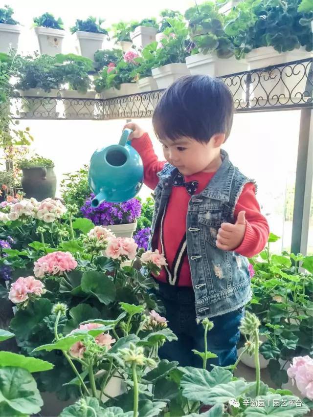 Ban công chỉ rộng vỏn vẹn 7m² nhưng tràn ngập hoa đẹp như cổ tích của bà mẹ 2 con-23