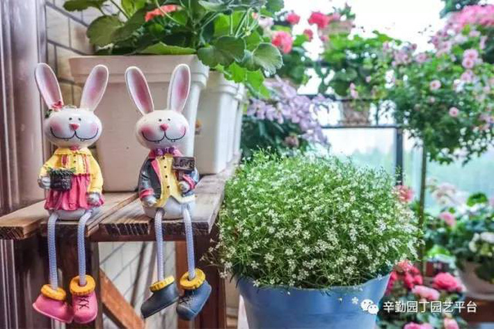 Ban công chỉ rộng vỏn vẹn 7m² nhưng tràn ngập hoa đẹp như cổ tích của bà mẹ 2 con-27