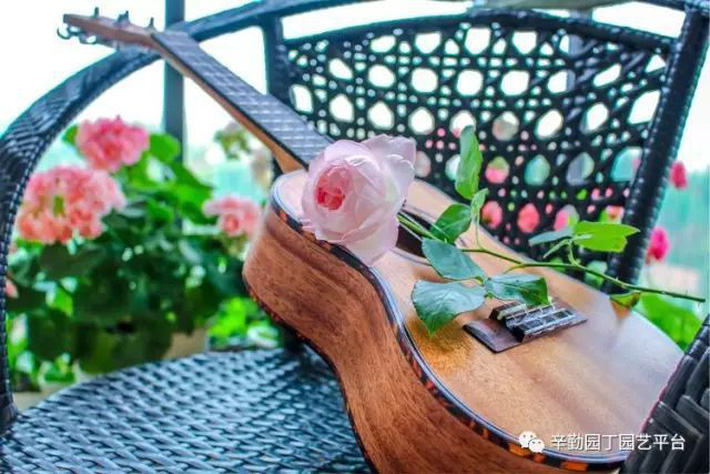 Ban công chỉ rộng vỏn vẹn 7m² nhưng tràn ngập hoa đẹp như cổ tích của bà mẹ 2 con-32