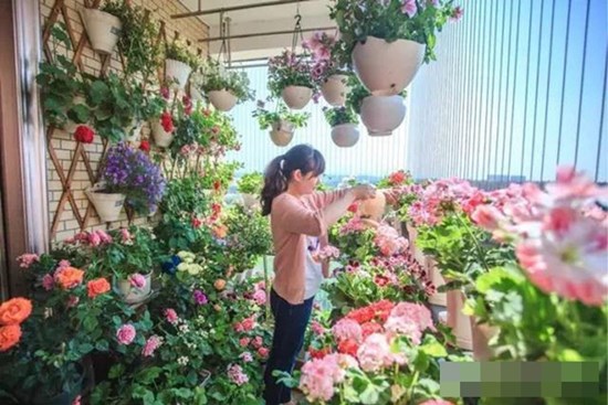 Ban công chỉ rộng vỏn vẹn 7m² nhưng tràn ngập hoa đẹp như cổ tích của bà mẹ 2 con