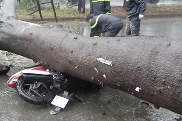 Số ca mắc Covid-19 tăng nhanh, một tỉnh đề xuất xây dựng khẩn cấp lò hỏa táng điện gần 15 tỉ-1