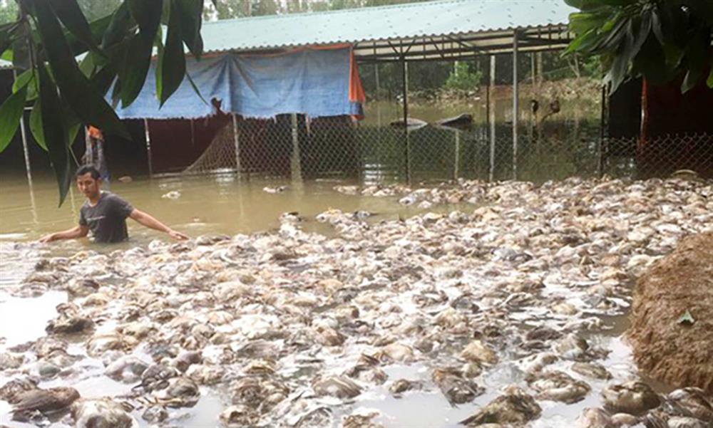 Huyện Thanh Chương báo cáo tiền Thủy Tiên làm từ thiện ít hơn xác nhận năm 2020-3